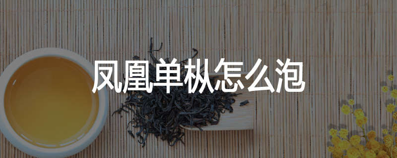 凤凰单枞怎么泡