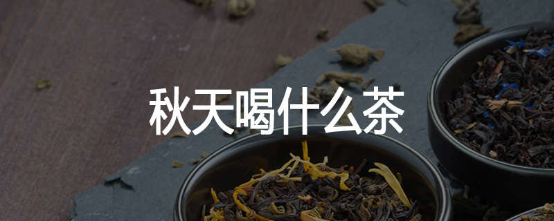 秋天喝什么茶