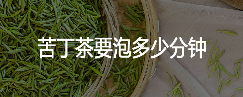 苦丁茶要泡多少分钟