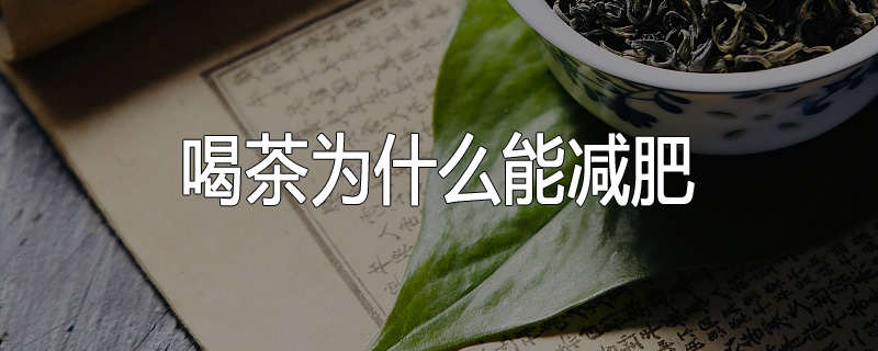 喝茶为什么能减肥