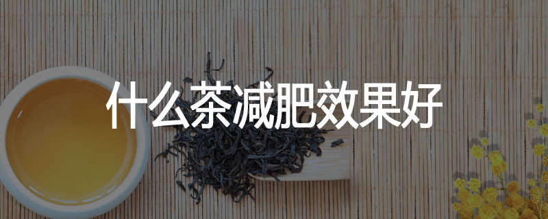 什么茶减肥效果好