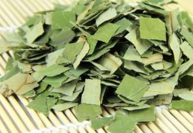 干荷叶茶的功效与作用