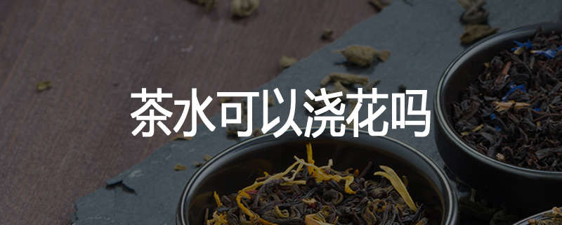 茶水可以浇花吗