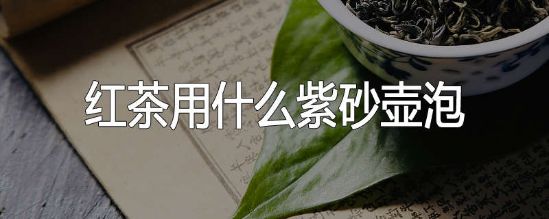 红茶用什么紫砂壶泡