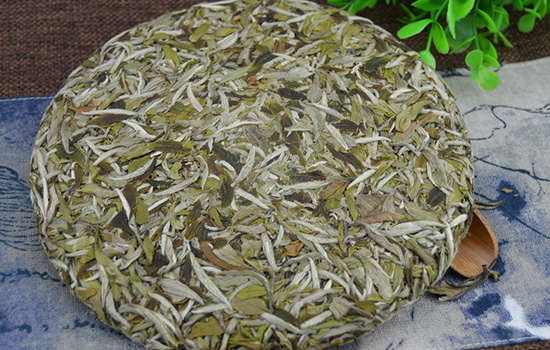 白牡丹茶的泡法