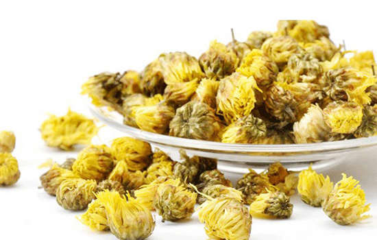 胎菊产地是哪里最好