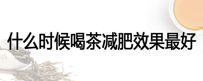 什么时候喝茶减肥效果最好