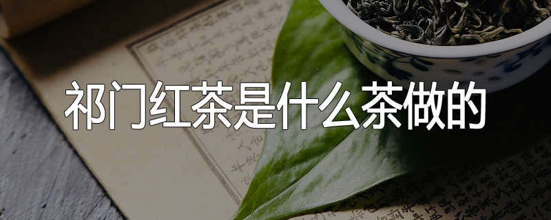 祁门红茶是什么茶做的