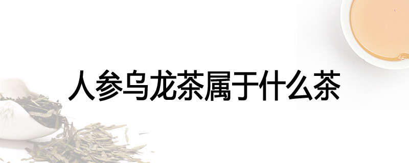 人参乌龙茶属于什么茶