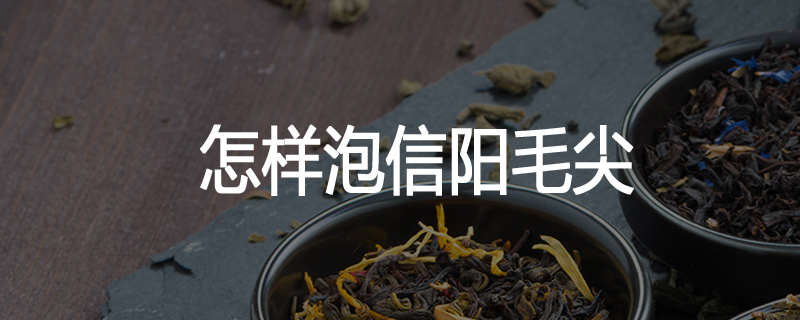 怎样泡信阳毛尖