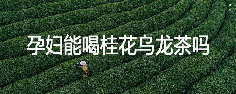 孕妇能喝桂花乌龙茶吗