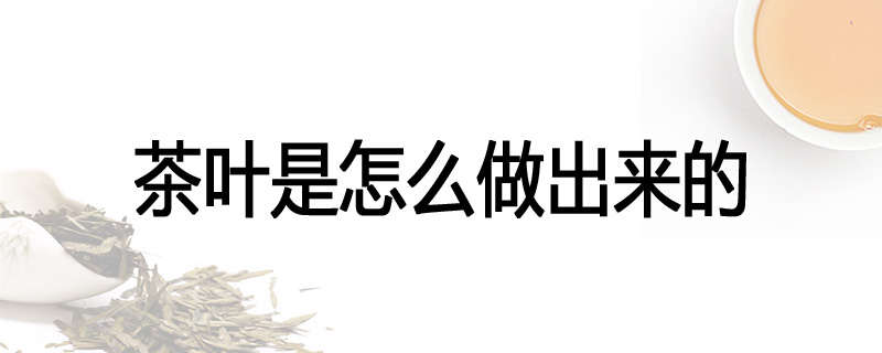 茶叶是怎么做出来的