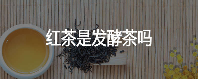 红茶是发酵茶吗