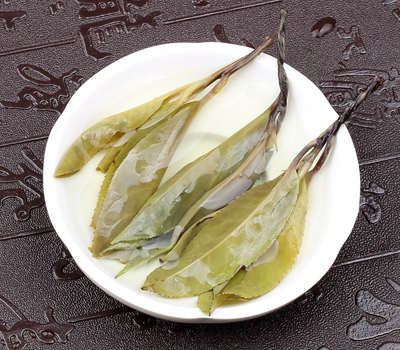 苦丁茶与蜜能一起泡吗