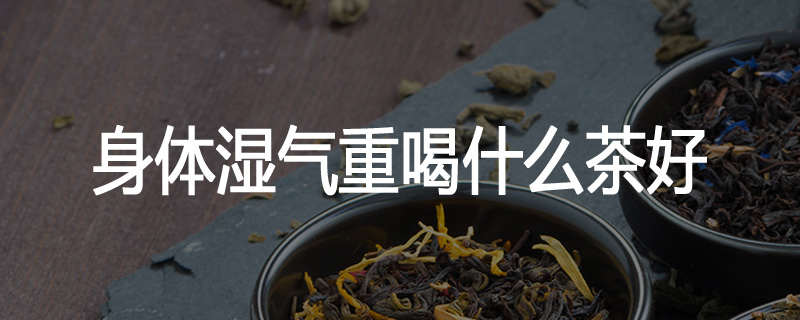 身体湿气重喝什么茶好