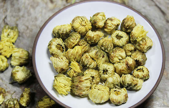 胎菊和菊花哪个好