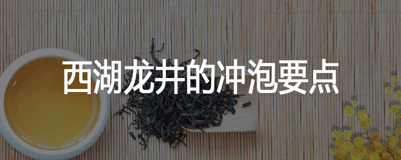 西湖龙井的冲泡要点