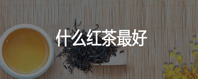 什么红茶最好