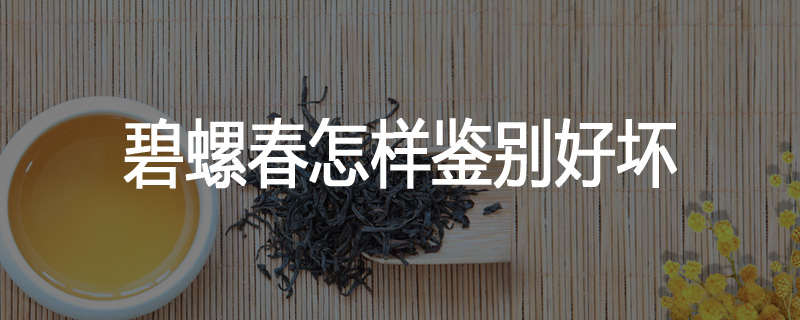 碧螺春怎样鉴别好坏