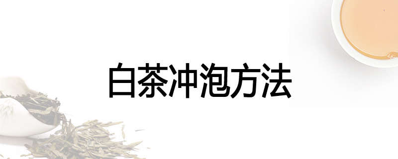 白茶冲泡方法