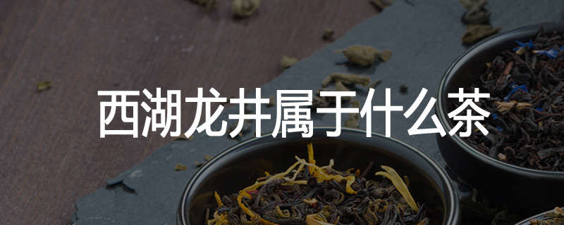 西湖龙井属于什么茶