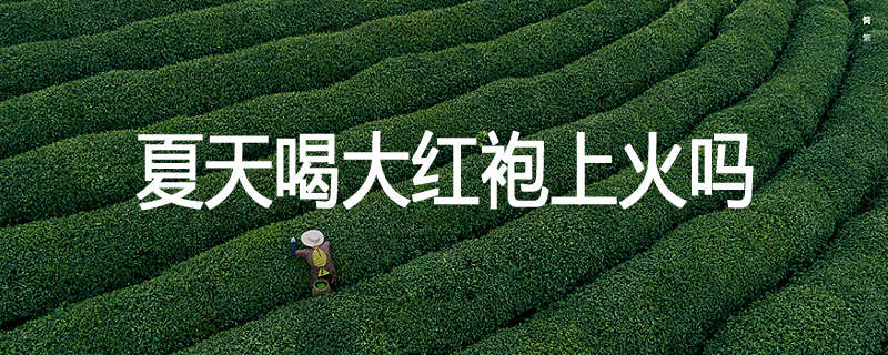 夏天喝大红袍上火吗