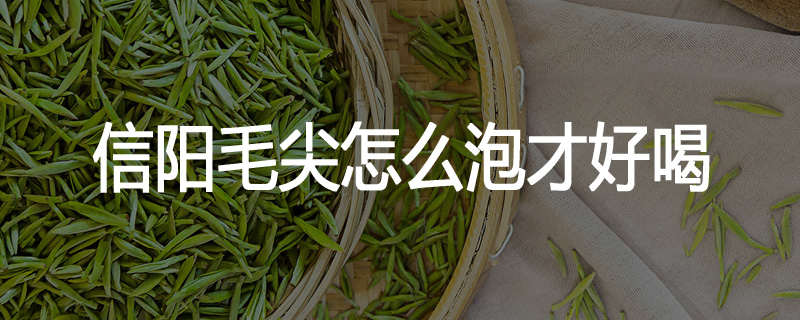 信阳毛尖怎么泡才好喝