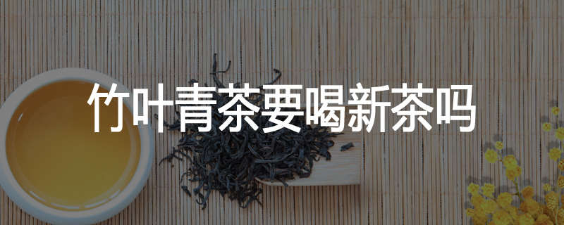 竹叶青茶要喝新茶吗