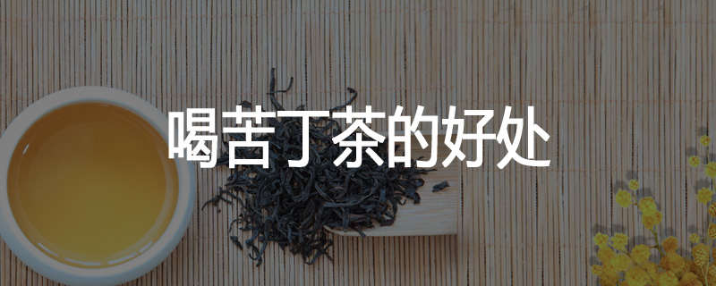 喝苦丁茶的好处