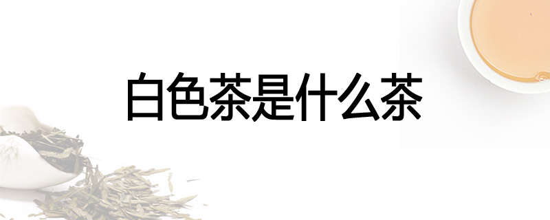 白色茶是什么茶