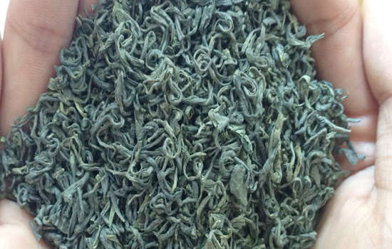 屯绿茶的产地与历史介绍