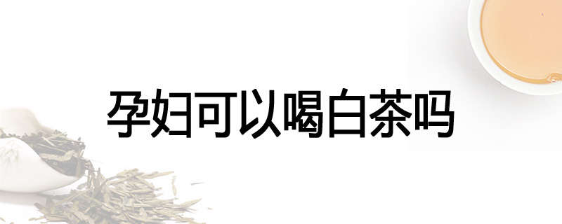 孕妇可以喝白茶吗