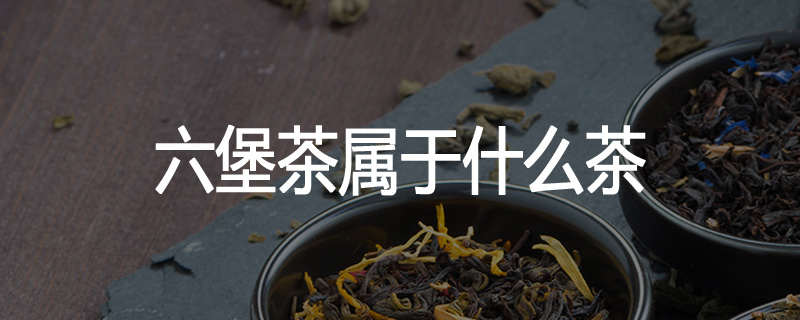 六堡茶属于什么茶