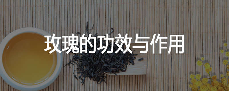 玫瑰的功效与作用