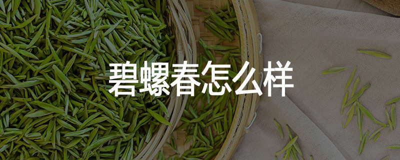 碧螺春怎么样