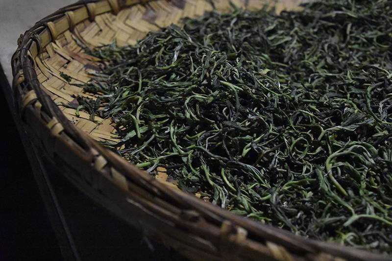 新茶叶多久才能喝