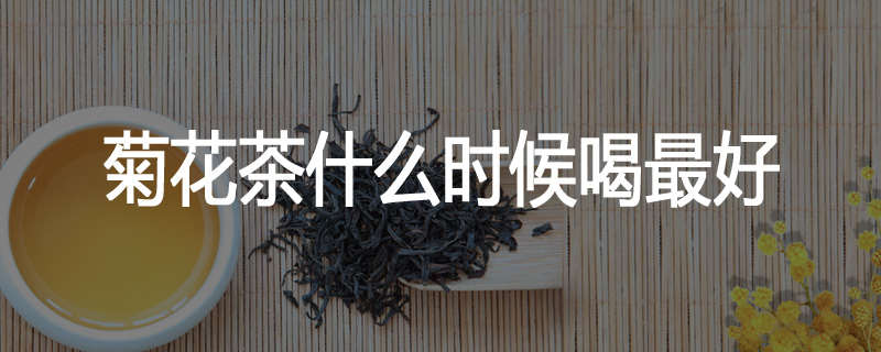 菊花茶什么时候喝最好