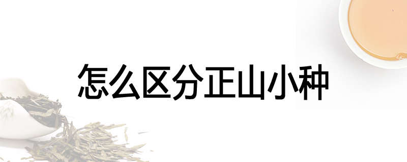 怎么区分正山小种