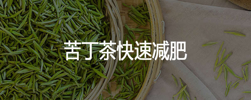 苦丁茶快速减肥