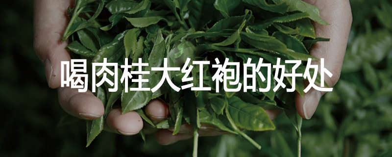 喝肉桂大红袍的好处