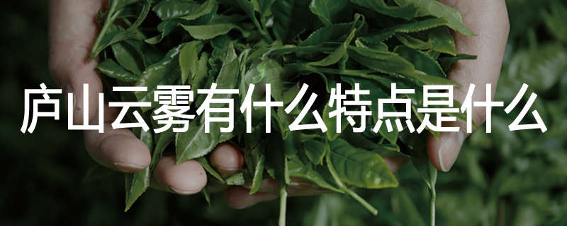 庐山云雾有什么特点是什么