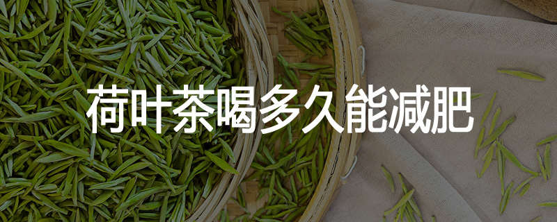 荷叶茶喝多久能减肥