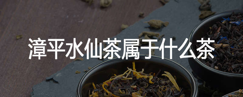 漳平水仙茶属于什么茶
