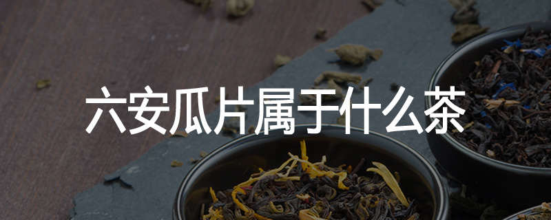 六安瓜片属于什么茶