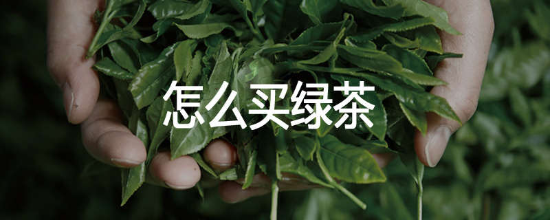 怎么买绿茶