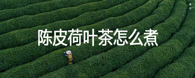 陈皮荷叶茶怎么煮