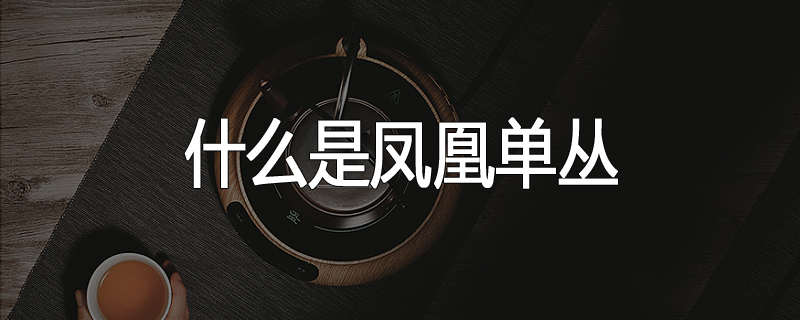 什么是凤凰单丛