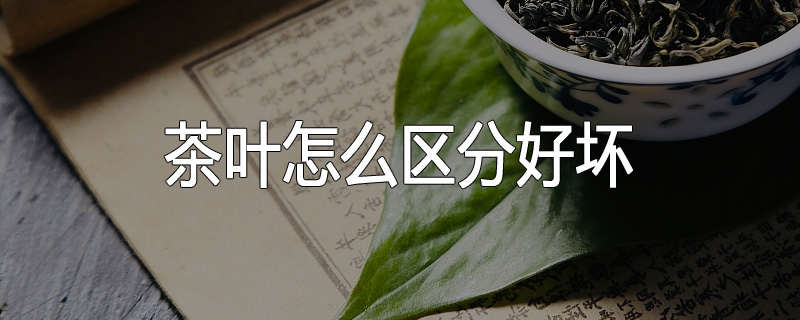 茶叶怎么区分好坏