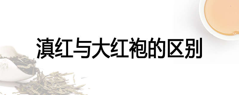 滇红与大红袍的区别