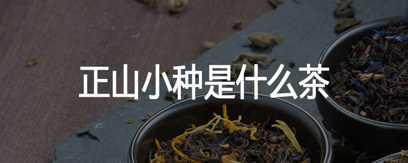 正山小种是什么茶